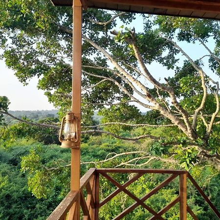 Leopard Nest - Glamping In Yala Hotel ภายนอก รูปภาพ
