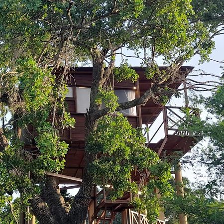 Leopard Nest - Glamping In Yala Hotel ภายนอก รูปภาพ