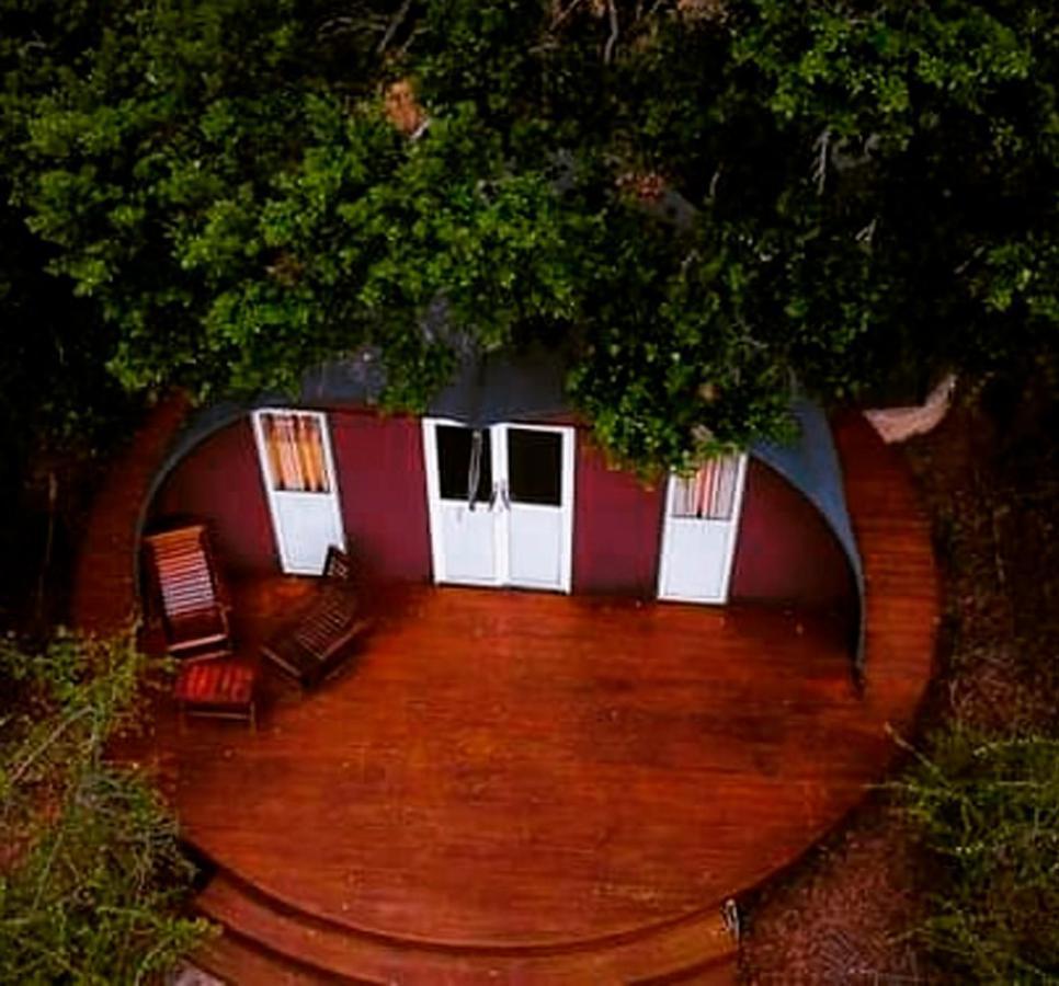 Leopard Nest - Glamping In Yala Hotel ภายนอก รูปภาพ