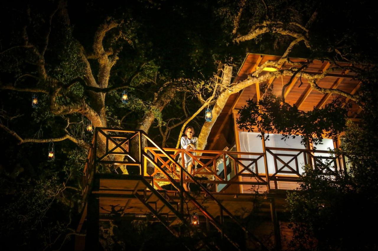 Leopard Nest - Glamping In Yala Hotel ภายนอก รูปภาพ
