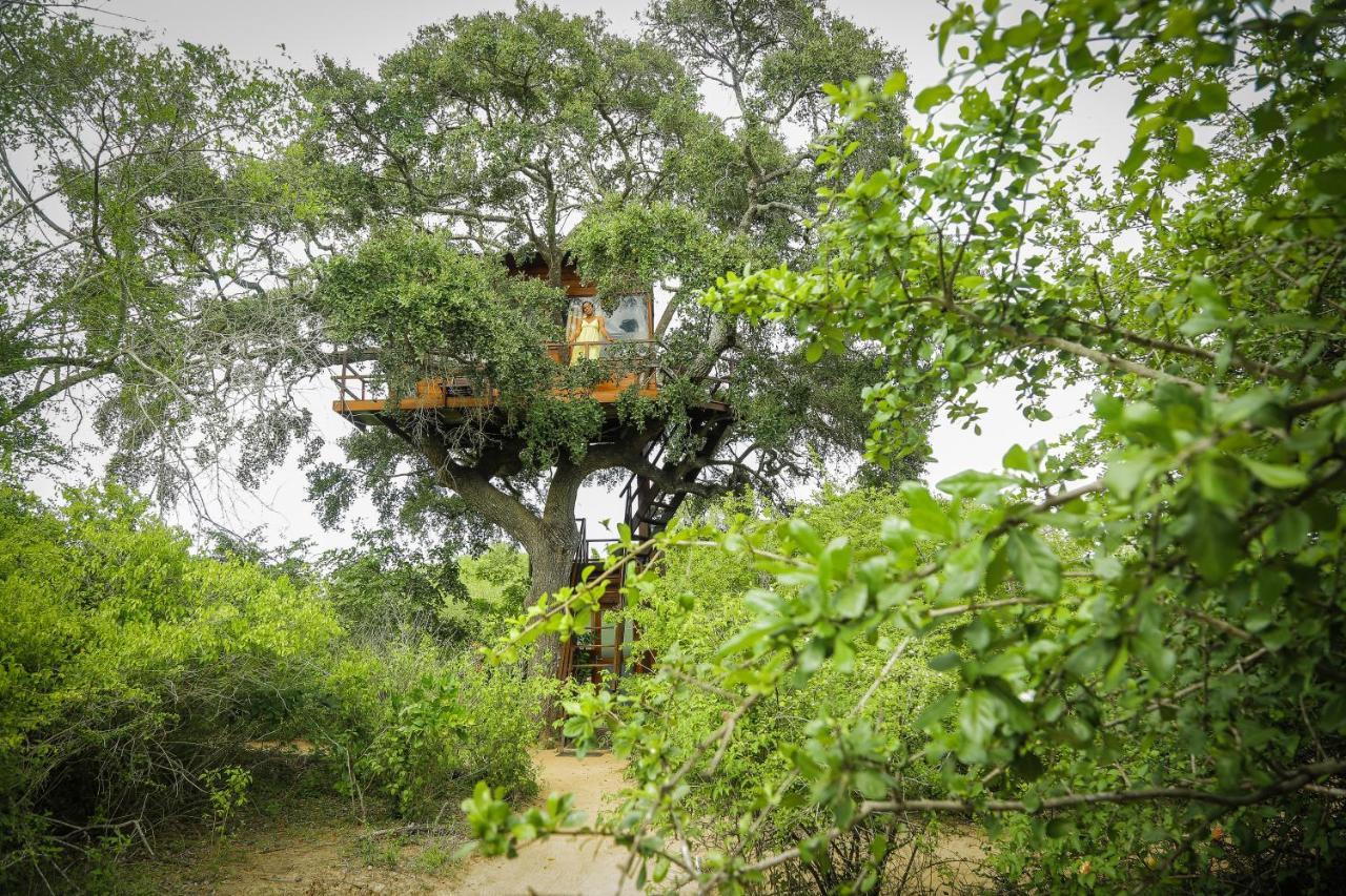 Leopard Nest - Glamping In Yala Hotel ภายนอก รูปภาพ