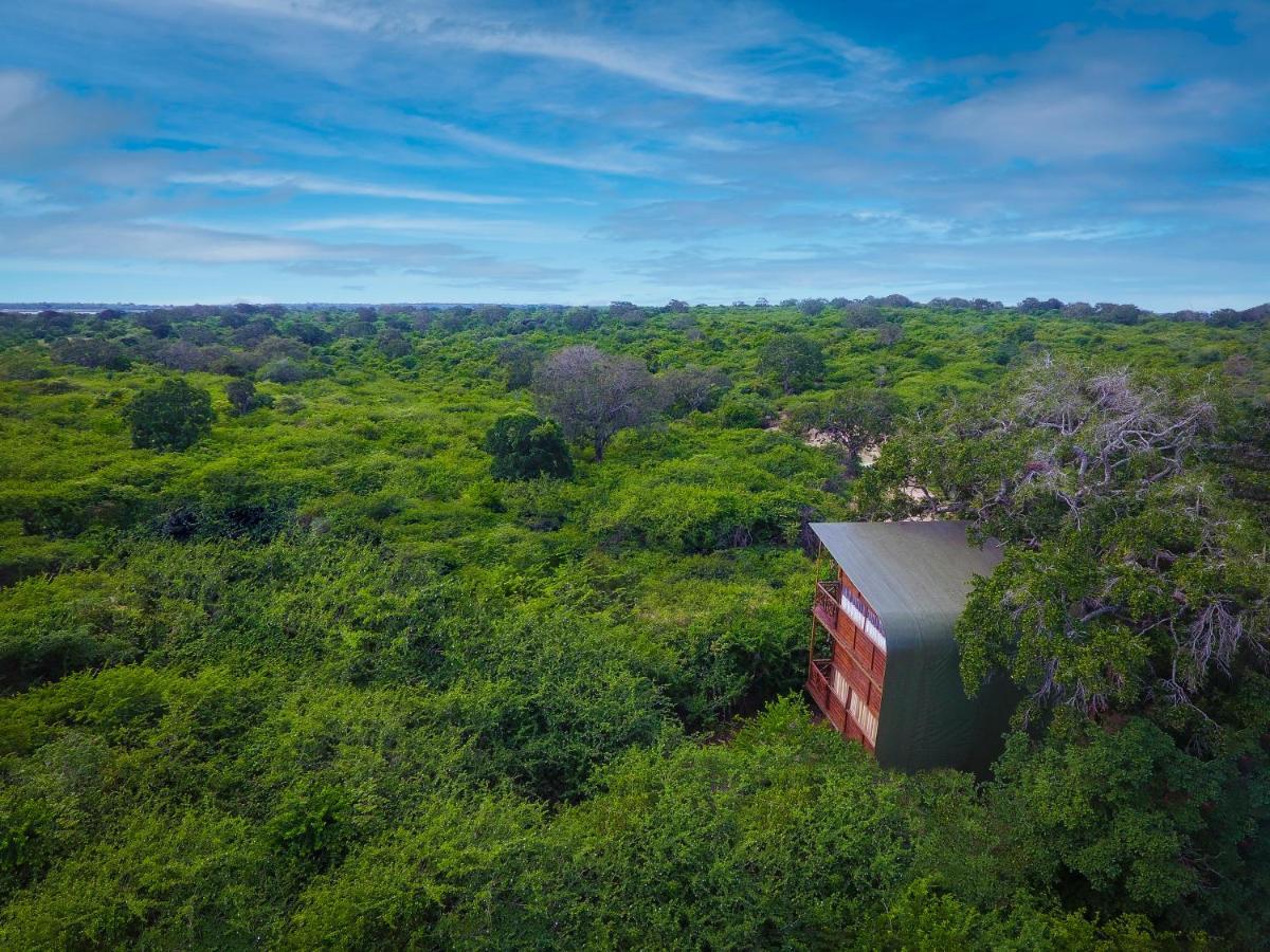Leopard Nest - Glamping In Yala Hotel ภายนอก รูปภาพ