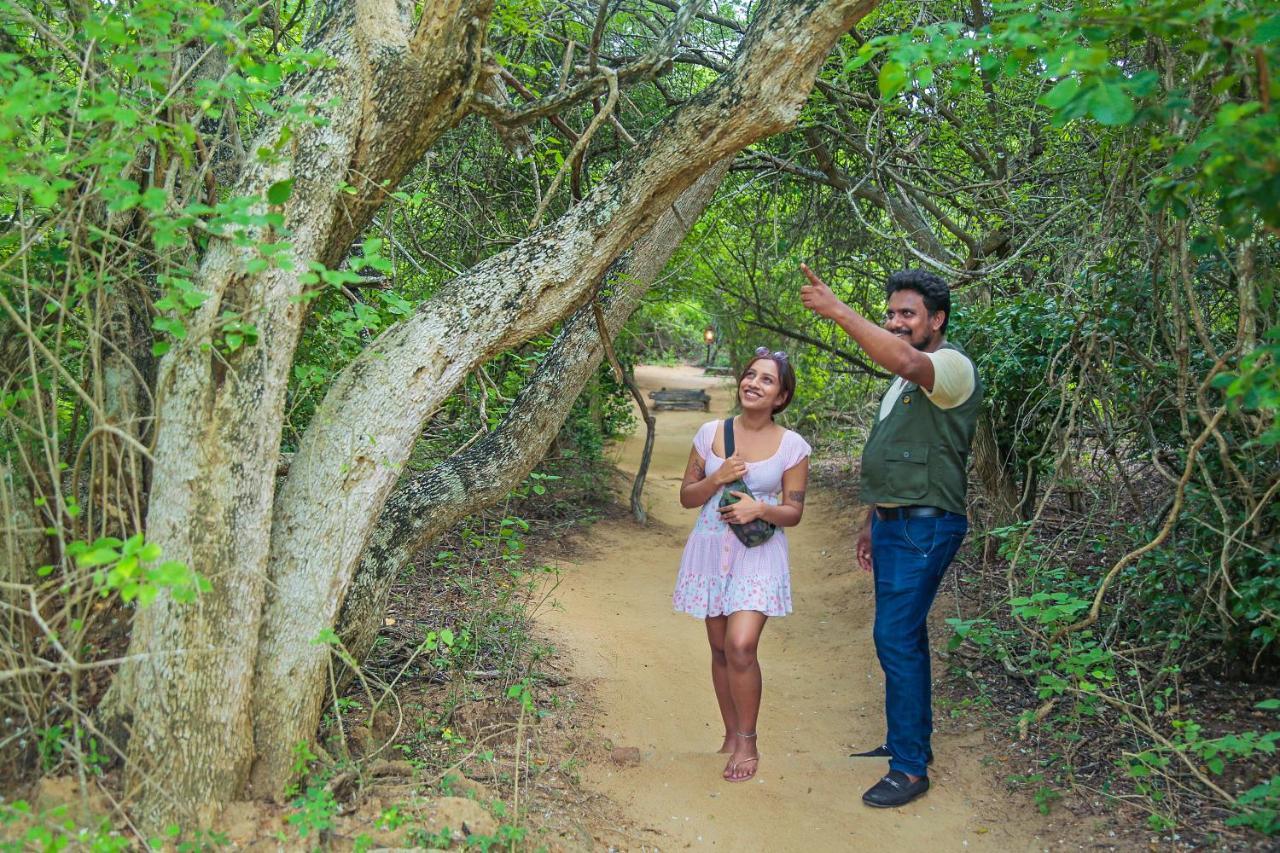Leopard Nest - Glamping In Yala Hotel ภายนอก รูปภาพ