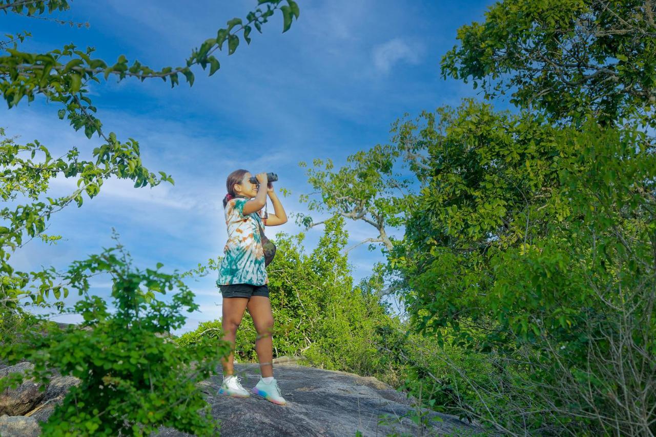 Leopard Nest - Glamping In Yala Hotel ภายนอก รูปภาพ