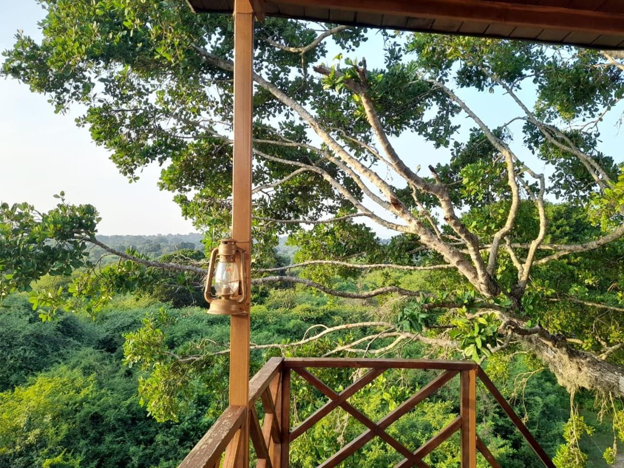 Leopard Nest - Glamping In Yala Hotel ภายนอก รูปภาพ