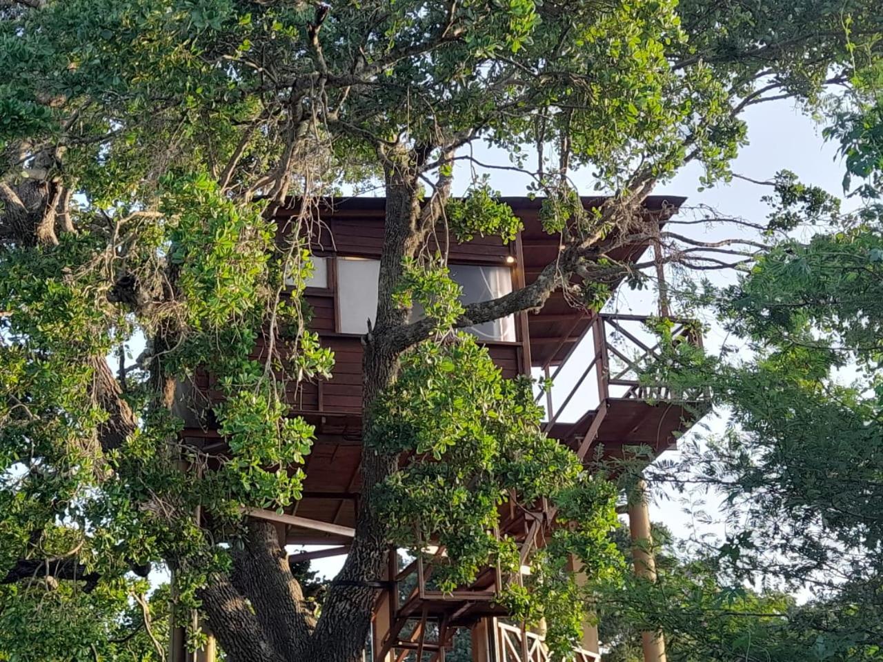 Leopard Nest - Glamping In Yala Hotel ภายนอก รูปภาพ