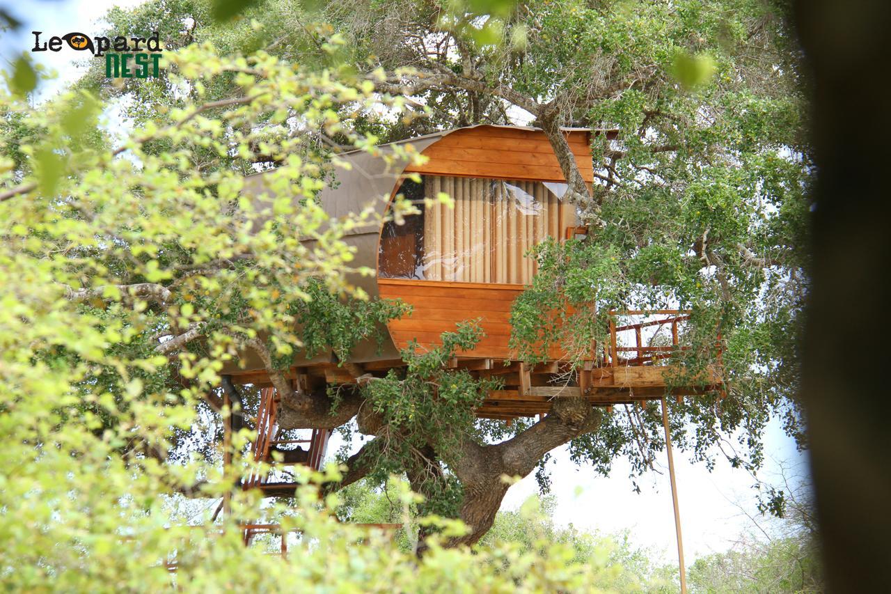 Leopard Nest - Glamping In Yala Hotel ภายนอก รูปภาพ