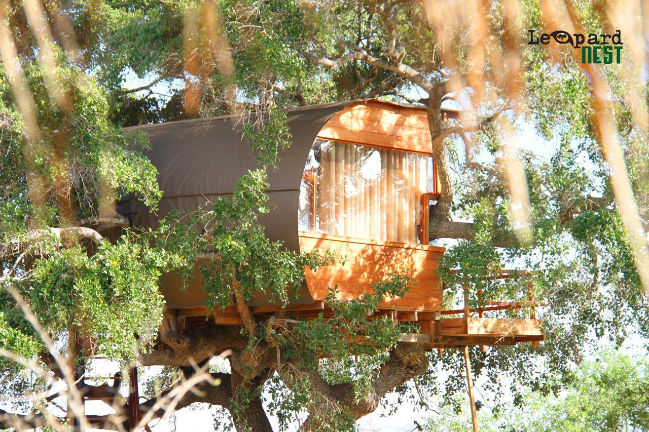 Leopard Nest - Glamping In Yala Hotel ภายนอก รูปภาพ