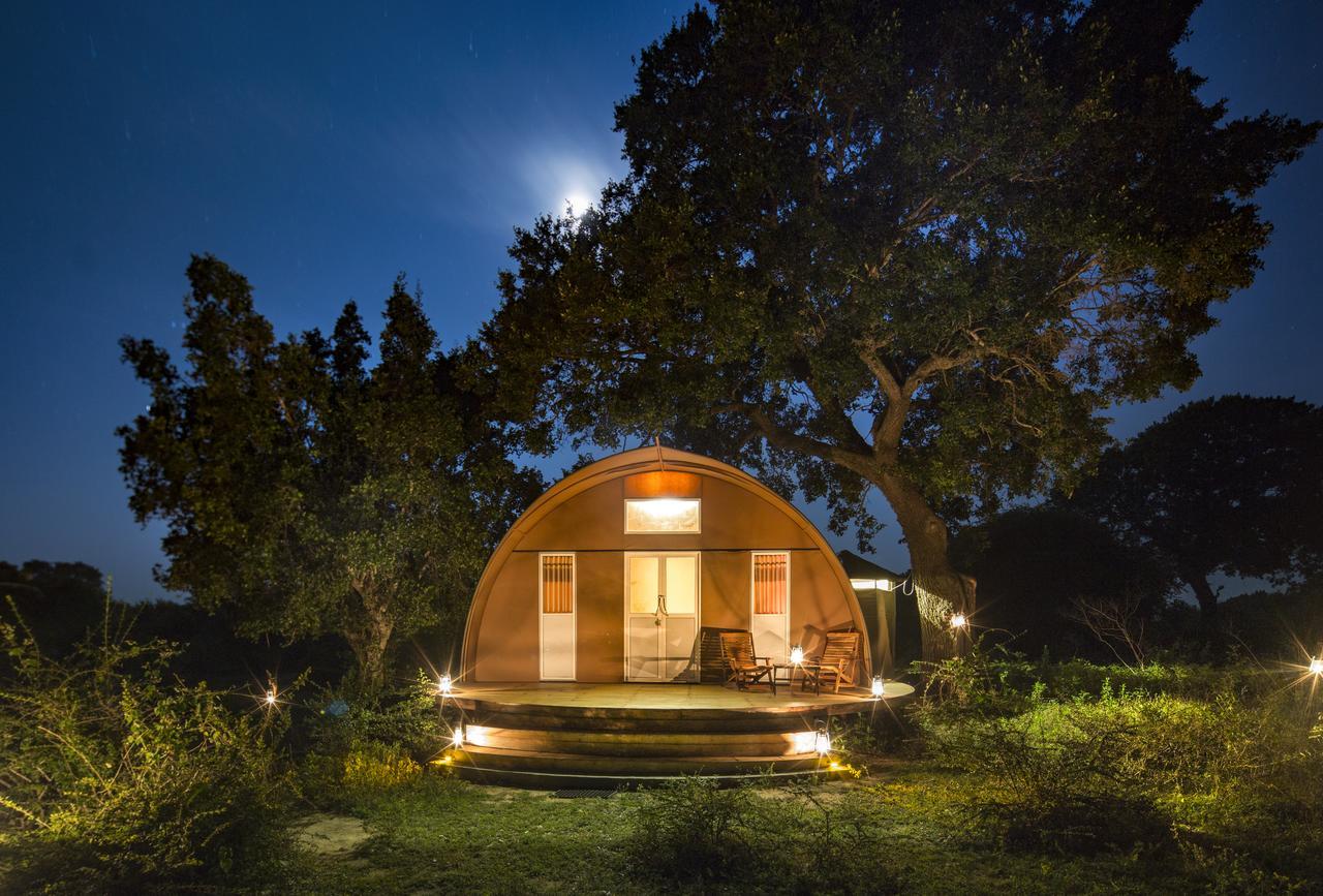 Leopard Nest - Glamping In Yala Hotel ภายนอก รูปภาพ