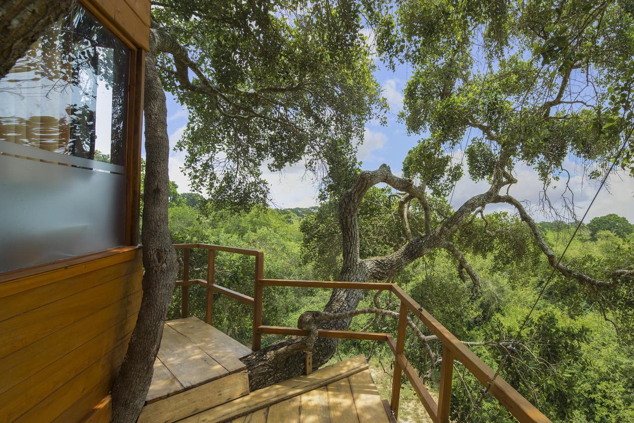 Leopard Nest - Glamping In Yala Hotel ภายนอก รูปภาพ
