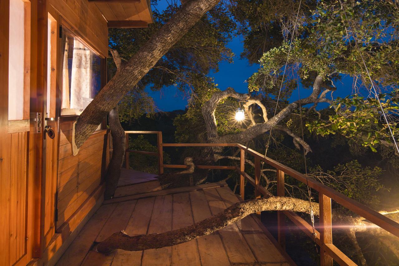 Leopard Nest - Glamping In Yala Hotel ภายนอก รูปภาพ